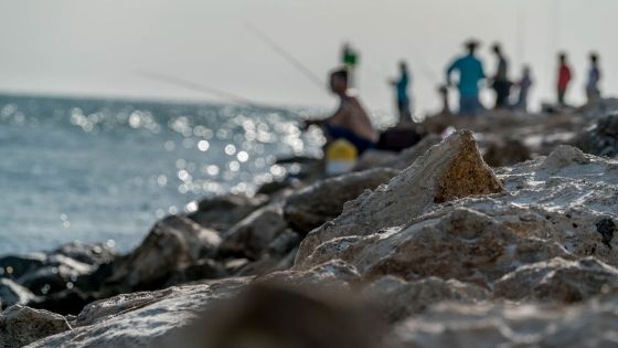 Outdoors Sarasota Manatee